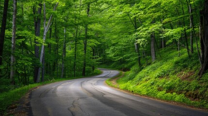 Obraz premium Winding road through dense forest, ideal for adventure and exploration images