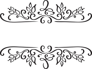 Hand drawn border flourish separator Calligraphy designer element Pro Vector