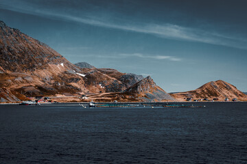 Tuna farm in a Norwegian fjord, with a bright blue sky and the typical mountains of the North Cape Tuna farm in a Norwegian fjord, with a bright blue sky and the typical mountains of the North Cape 
