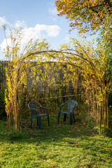 Bent willow structure with chairs in a garden in Fall or Autumn. Concept of outdoor living, seasonal, spending time outside © Hazel