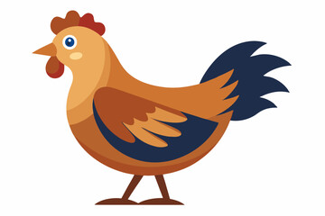 walking and eating a beautiful hen isolated on white background