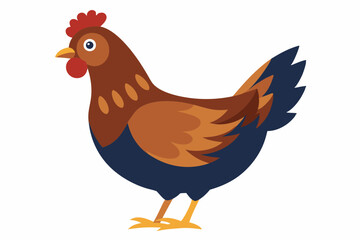 walking and eating a beautiful hen isolated on white background