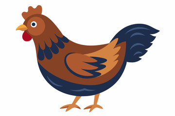 walking and eating a beautiful hen isolated on white background