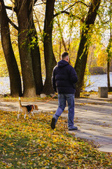 Fototapeta premium man walking in the park with dog