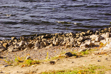sea and rocks