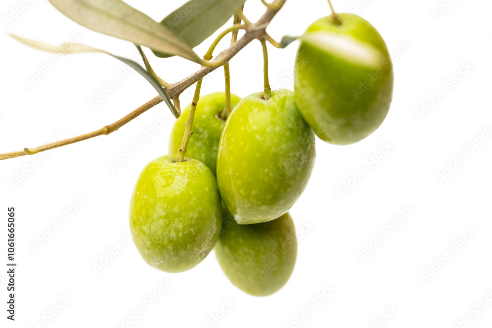 Wall mural fresh olives isolated