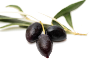 fresh olives isolated