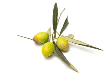 fresh olives isolated