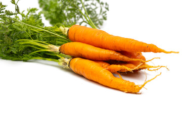 carrot with leaves