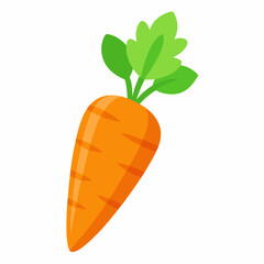carrot isolated on white background