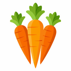 carrot isolated on white
