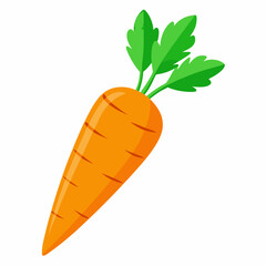 carrot isolated on white
