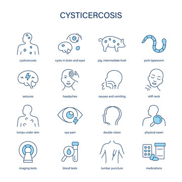 Cysticercosis symptoms, diagnostic and treatment vector icon set. Medical icons.