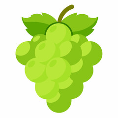 illustration of grapes