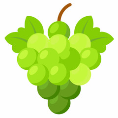 bunch of grapes isolated on white