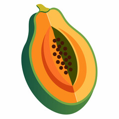illustration of papaya fruit