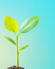 Fototapeta premium Referral Programs to foster organic growth.