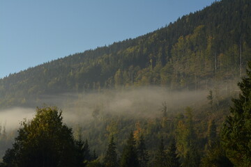 Foggy haze in the mountains in autumn