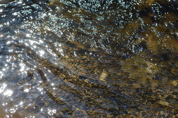 The rays of the sun are reflected in a mountain river. Background