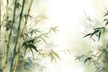 Obraz premium Bamboo backgrounds plant green.