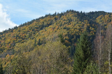 Mountain covered with colorful trees in autumn