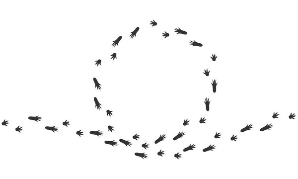 Vector trail print of hamster isolated on white background. Circle silhouette.  Footprint silhouette tracks of Hamster. Paw Print. Vector illustration. EPS10.