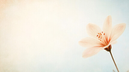 Obraz premium A macro close-up of a single blossom, revealing the intricate veins in each petal and the pollen-laden stamen. The image captures the softness of the flowerâ€™s form with a dreamy background blur,