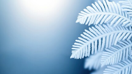 Frost-covered fern leaves against a soft blue background, AI