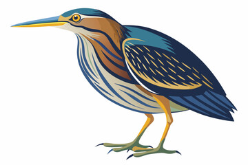  American bittern isolates on a white background.