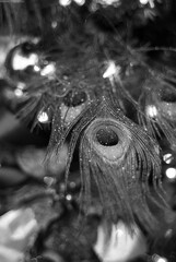 Bright Christmas and New Year Festive Mood Decoration Background