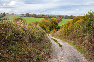 Autumn colours on South Downs Way in West Sussex between Buriton and South Harting