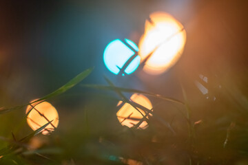 Blurred image of fire spots in the green grass open air fire show