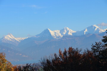 Eiger, Mönch and Jungfrau, lake Thun in the foreground