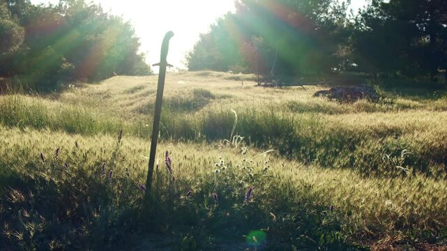 The sword of a medieval knight is stuck into the ground against the backdrop of a clearing in a pine forest flooded with rays of sun