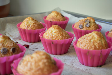Close up of freshly baked muffins with chocolate chips in pink silicone molds cooling on a baking tray with parchment paper