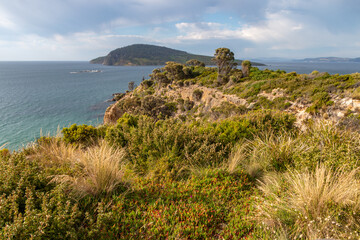 View of beautiful Australian beach from Goat's bluff lookout