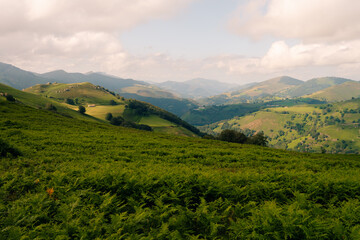 Fototapeta premium Green landscape in the pyrenees with layered mountains, green meadow and flowers