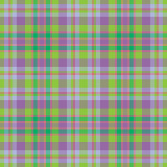 Plaid seamless pattern. Check fabric texture. Vector textile print.