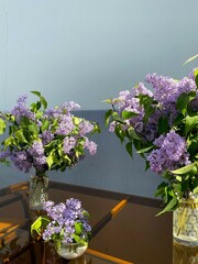bouquet of lilac in a vase, three vases of spring lilac on the sunlight, spring background for...