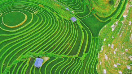 Aerial shot of beautiful sunrise over terraced fields with high mountains