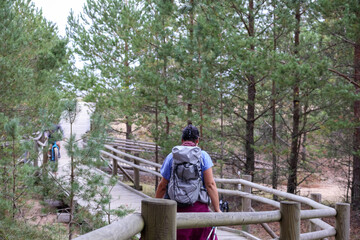 person walking in the woods