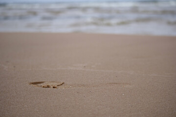human footprint in sand with sea background