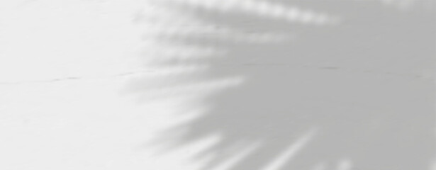 Glare from the sun's rays on the wall. Blurred shadows from leaves and plants in the room. Soft overlay of natural light. 