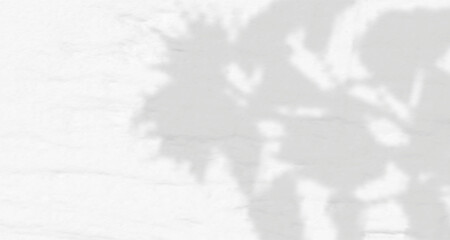 Glare from the sun's rays on the wall. Blurred shadows from leaves and plants in the room. Soft overlay of natural light. 