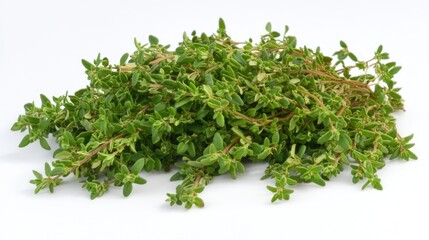 Fototapeta premium Fresh Thyme Close-Up in Natural Style