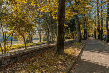 The long pedestrian path of Viale delle Piagge avenue in Pisa, Italy, in the autumn season