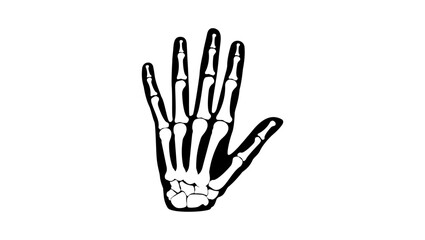 human hand bone structure, black isolated silhouette