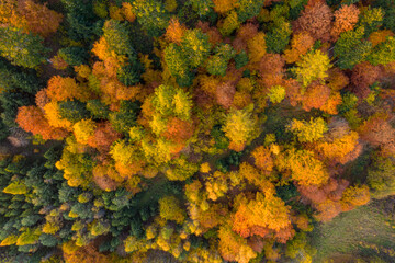 Beskid Sądecki Dolina Popradu Jesień