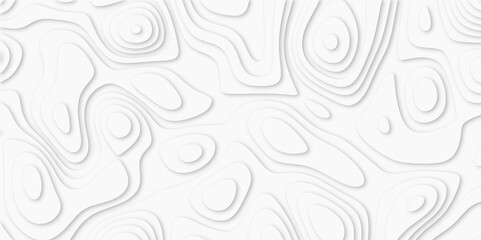 Fototapeta premium Abstract luxury white modern 3d papercut background. Minimal abstract vector wave carve diamond topography line circle creative topography map circle and wave line smooth multilayer pattern. papercut.