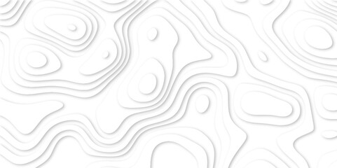 Fototapeta premium Abstract luxury white modern 3d papercut background. Minimal abstract vector wave carve diamond topography line circle creative topography map circle and wave line smooth multilayer pattern. papercut.